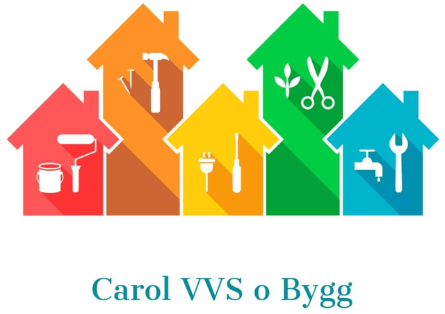 Carol VVS o Bygg loga