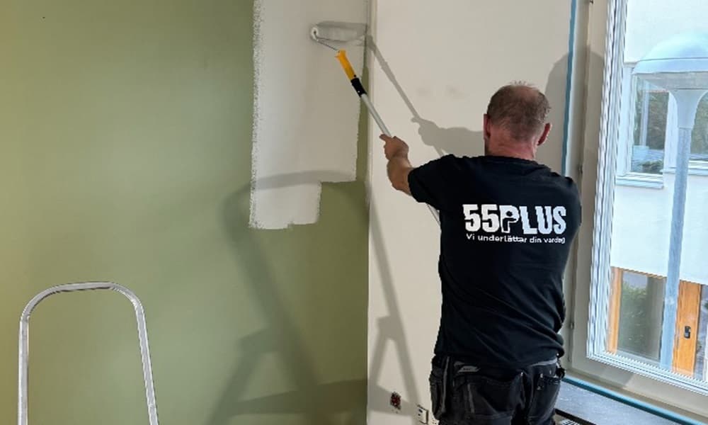 En bild som representerar 55Plus AB / Pingholm AB