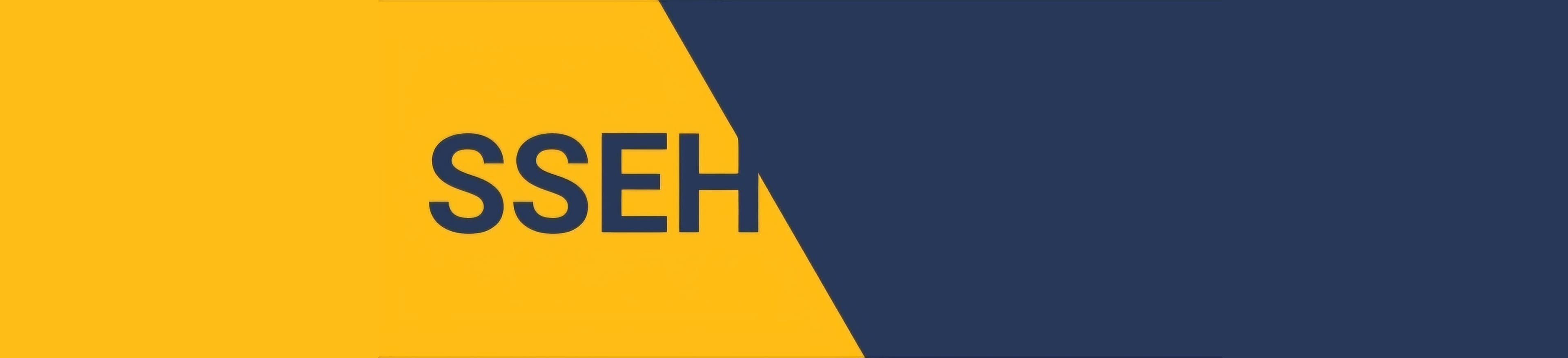 En bild som representerar SSEH